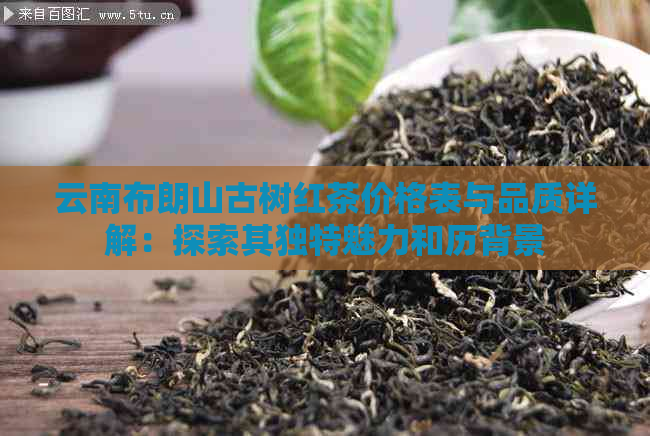 云南布朗山古树红茶价格表与品质详解：探索其独特魅力和历背景