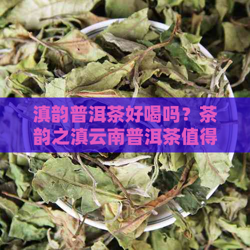 滇韵普洱茶好喝吗？茶韵之滇云南普洱茶值得买吗？