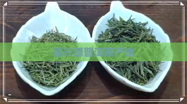 福兴源普洱茶产地