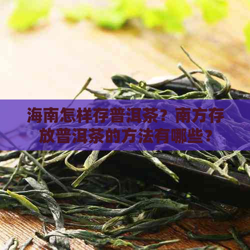 海南怎样存普洱茶？南方存放普洱茶的方法有哪些？