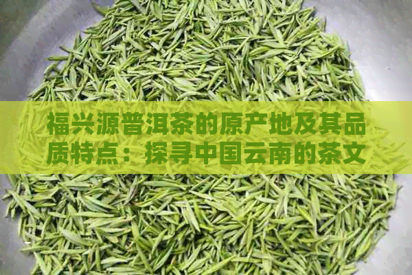 福兴源普洱茶的原产地及其品质特点：探寻中国云南的茶文化宝藏