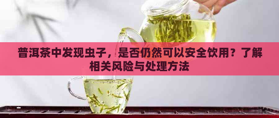 普洱茶中发现虫子，是否仍然可以安全饮用？了解相关风险与处理方法