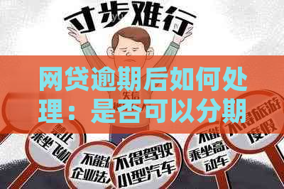 网贷逾期后如何处理：是否可以分期还款？还款期限和方式有哪些选择？