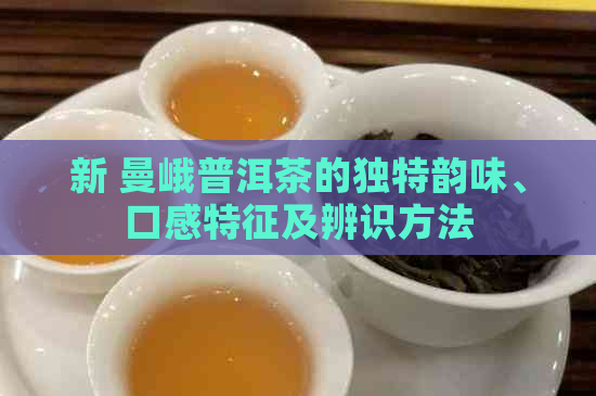 新 曼峨普洱茶的独特韵味、口感特征及辨识方法