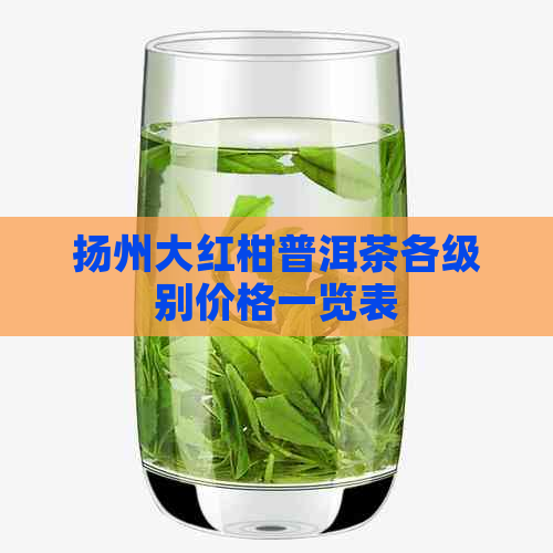 扬州大红柑普洱茶各级别价格一览表