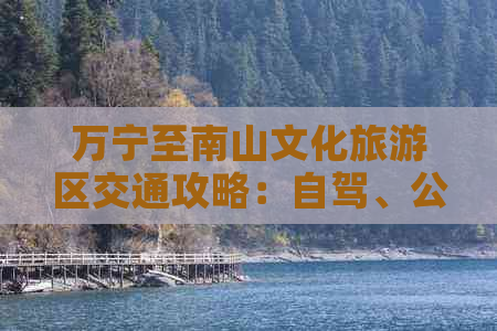 万宁至南山文化旅游区交通攻略：自驾、公交、专线车全方位指南