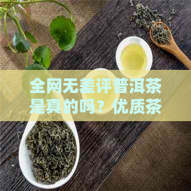 全网无差评普洱茶是真的吗？优质茶叶真实评价分享