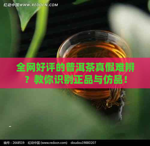 全网好评的普洱茶真假难辨？教你识别正品与仿品！