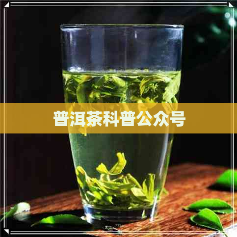 普洱茶科普公众号