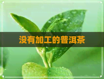 没有加工的普洱茶