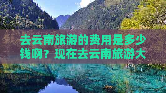 去云南旅游的费用是多少钱啊？现在去云南旅游大概需要多少费用？