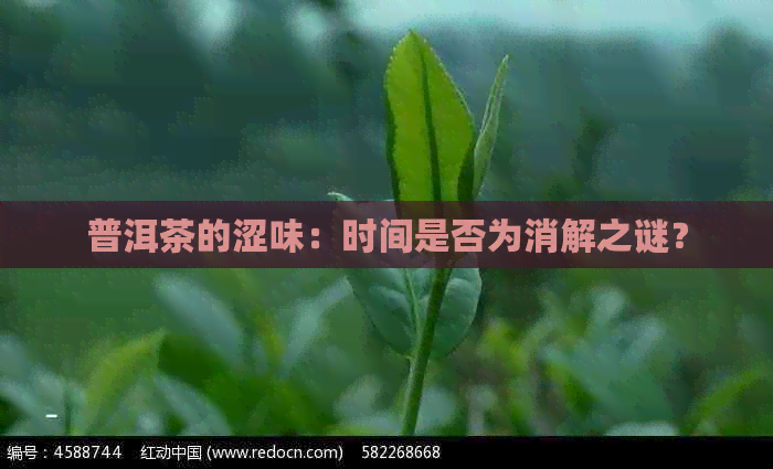 普洱茶的涩味：时间是否为消解之谜？