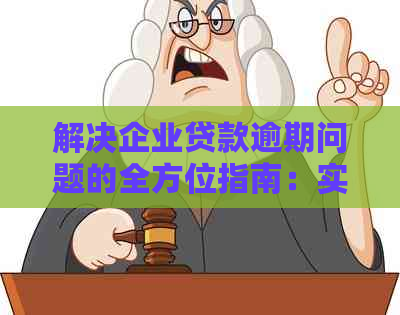 解决企业贷款逾期问题的全方位指南：实际案例分析与应对策略