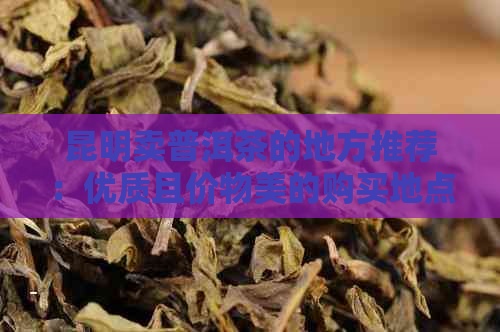 昆明卖普洱茶的地方推荐：优质且价物美的购买地点