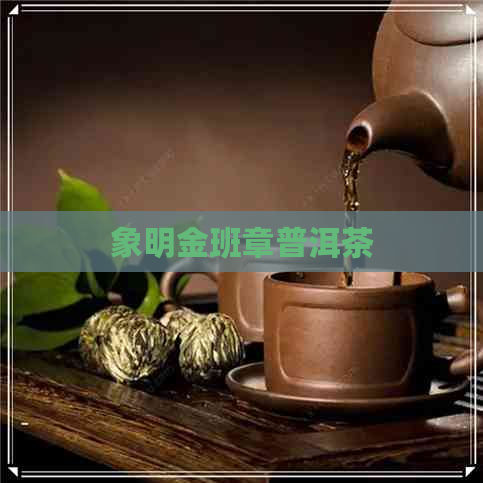 象明金班章普洱茶