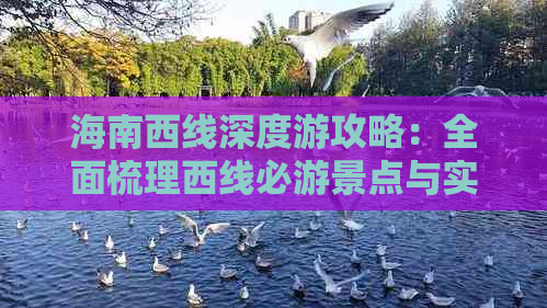 海南西线深度游攻略：全面梳理西线必游景点与实用旅行指南