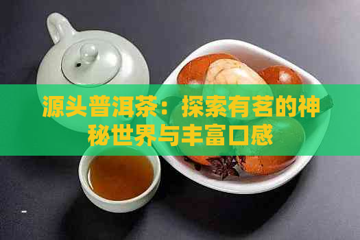 源头普洱茶：探索有茗的神秘世界与丰富口感