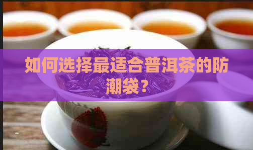 如何选择最适合普洱茶的防潮袋？