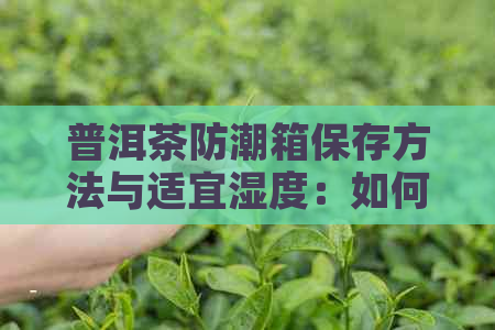 普洱茶防潮箱保存方法与适宜湿度：如何保持条件，能放多久？