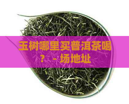 玉树哪里买普洱茶喝？ - 场地址