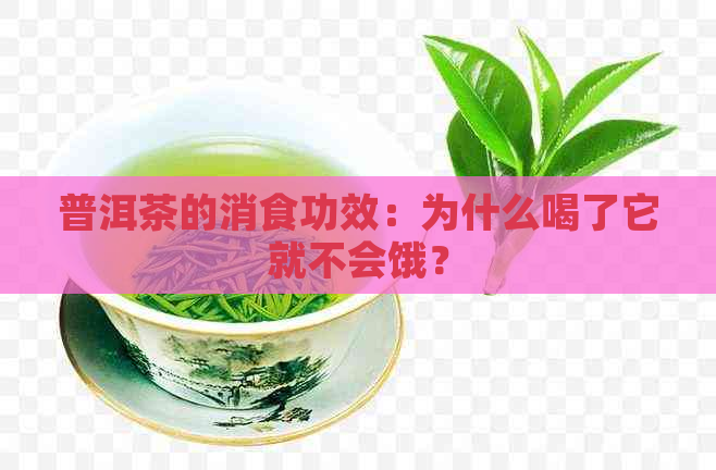 普洱茶的消食功效：为什么喝了它就不会饿？