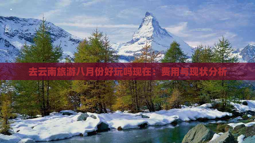 去云南旅游八月份好玩吗现在：费用与现状分析