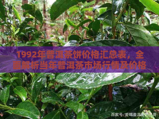 1992年普洱茶饼价格汇总表，全面解析当年普洱茶市场行情及价格变化