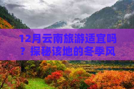 12月云南旅游适宜吗？探秘该地的冬季风光与旅游活动