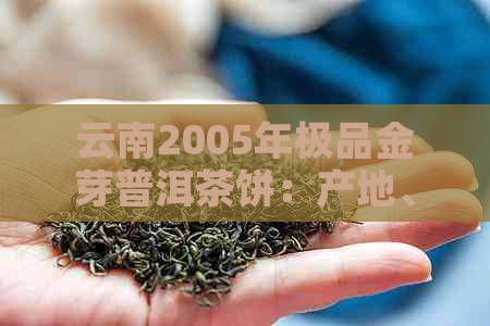 云南2005年极品金芽普洱茶饼：产地、品质、年份、口感全面解析