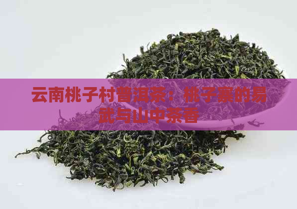 云南桃子村普洱茶：桃子寨的易武与山中茶香