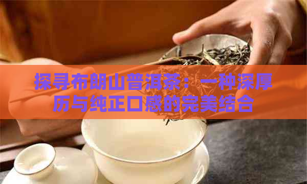 探寻布朗山普洱茶：一种深厚历与纯正口感的完美结合