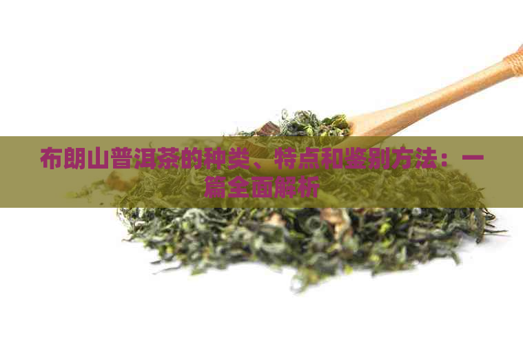 布朗山普洱茶的种类、特点和鉴别方法：一篇全面解析