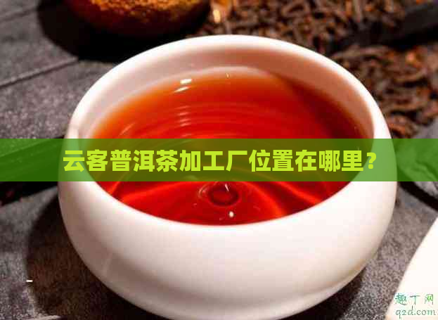 云客普洱茶加工厂位置在哪里？