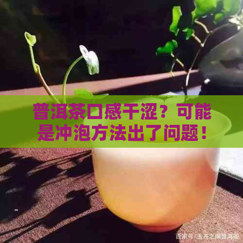 普洱茶口感干涩？可能是冲泡方法出了问题！