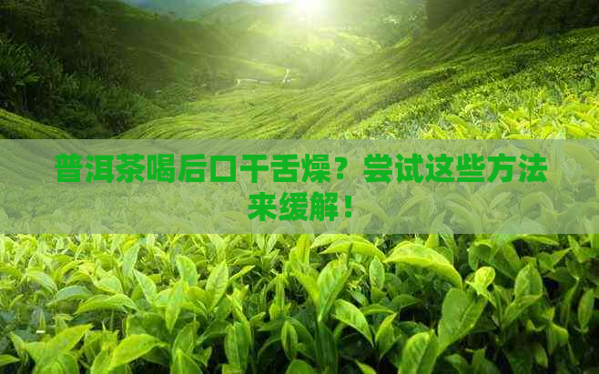 普洱茶喝后口干舌燥？尝试这些方法来缓解！