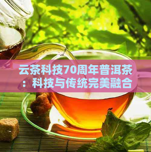 云茶科技70周年普洱茶：科技与传统完美融合的茶品佳话