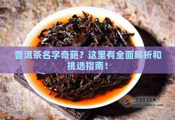 普洱茶名字奇葩？这里有全面解析和挑选指南！