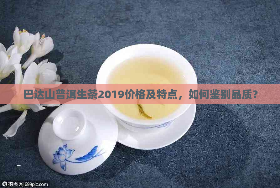 巴达山普洱生茶2019价格及特点，如何鉴别品质？