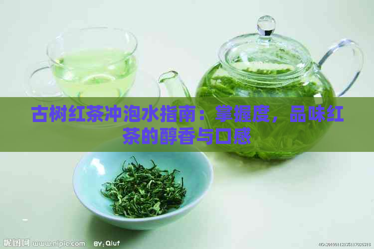 古树红茶冲泡水指南：掌握度，品味红茶的醇香与口感