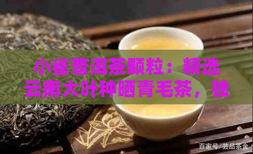 小雀普洱茶颗粒：精选云南大叶种晒青毛茶，独特风味，助您健养生