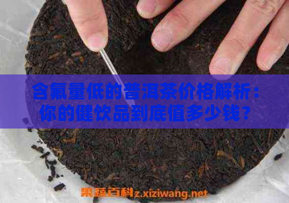 含氟量低的普洱茶价格解析：你的健饮品到底值多少钱？