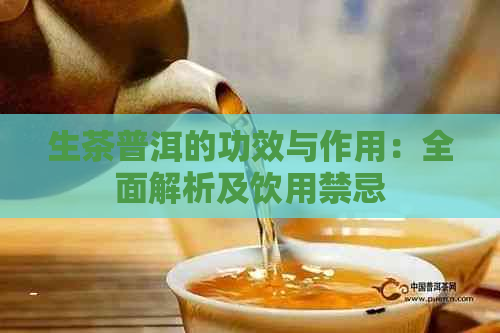 生茶普洱的功效与作用：全面解析及饮用禁忌