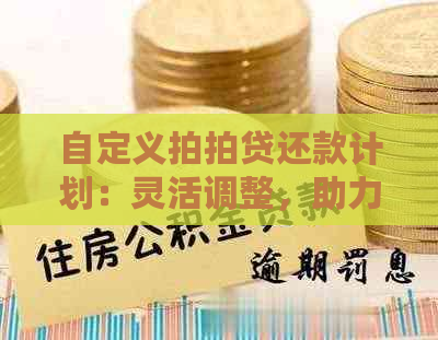 自定义还款计划：灵活调整，助力您达成财务目标