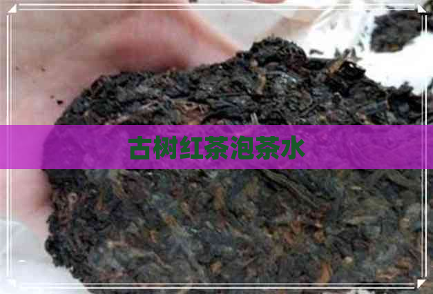 古树红茶泡茶水