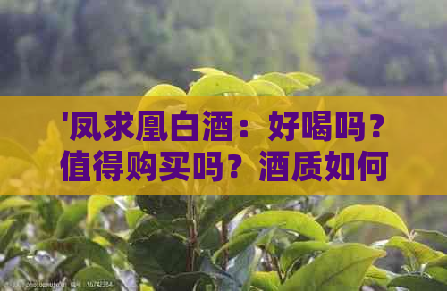 '凤求凰白酒：好喝吗？值得购买吗？酒质如何？价格是多少？'