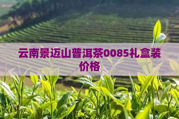 云南景迈山普洱茶0085礼盒装价格