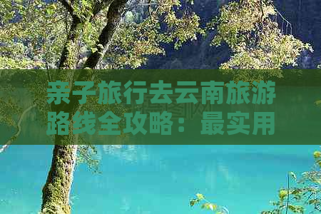 亲子旅行去云南旅游路线全攻略：最实用指南！