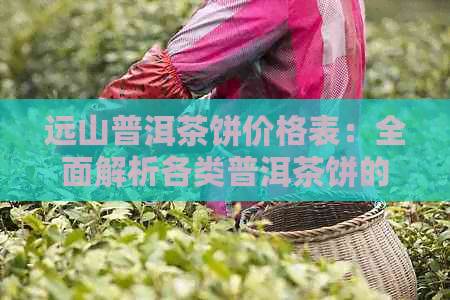 远山普洱茶饼价格表：全面解析各类普洱茶饼的市场价与收藏价值