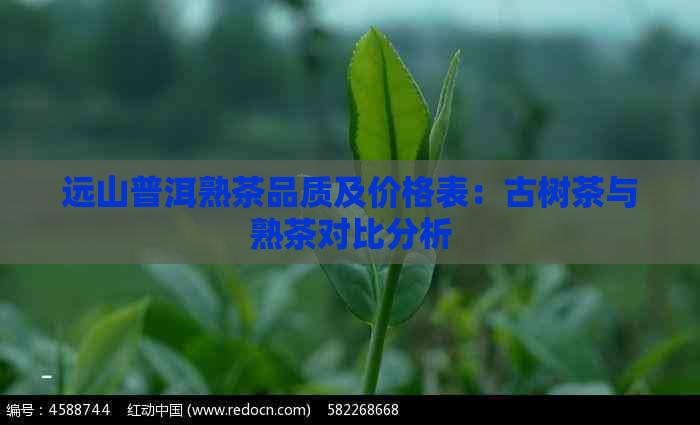 远山普洱熟茶品质及价格表：古树茶与熟茶对比分析