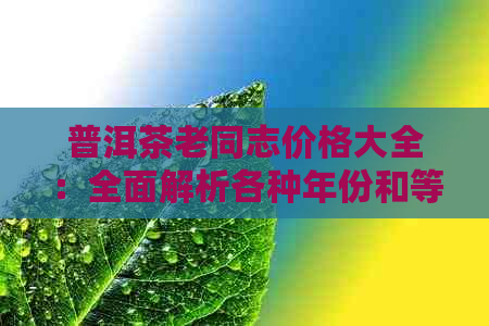 普洱茶老同志价格大全：全面解析各种年份和等级普洱茶的价格及购买建议